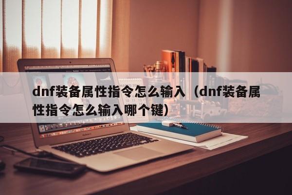 dnf装备属性指令怎么输入（dnf装备属性指令怎么输入哪个键）