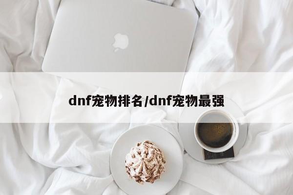dnf宠物排名/dnf宠物最强