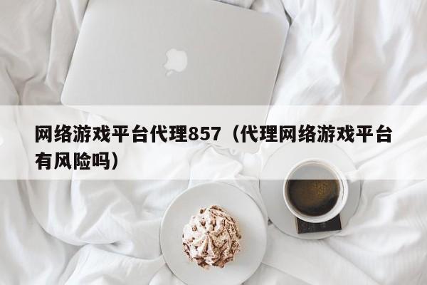 网络游戏平台代理857（代理网络游戏平台有风险吗）