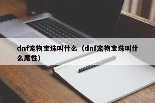 dnf宠物宝珠叫什么（dnf宠物宝珠叫什么属性）