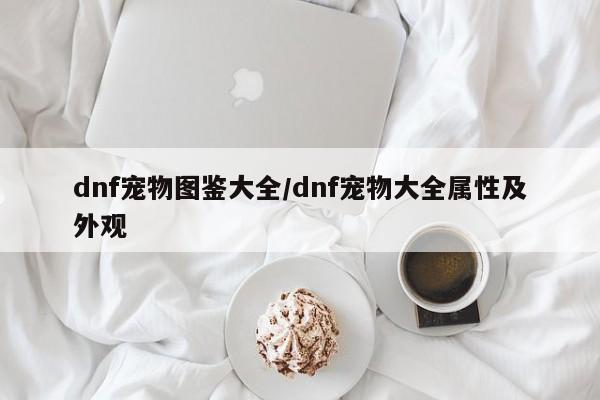 dnf宠物图鉴大全/dnf宠物大全属性及外观