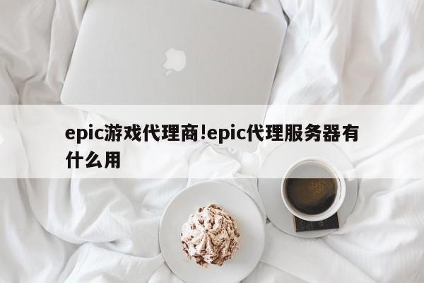 epic游戏代理商!epic代理服务器有什么用