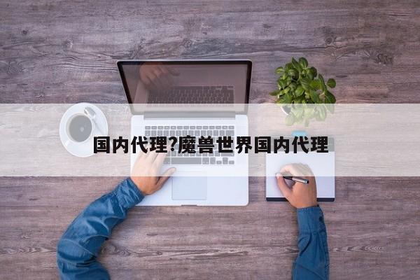 国内代理?魔兽世界国内代理