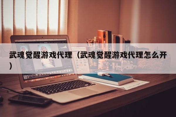 武魂觉醒游戏代理（武魂觉醒游戏代理怎么开）
