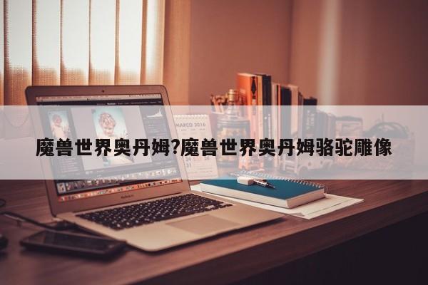 魔兽世界奥丹姆?魔兽世界奥丹姆骆驼雕像